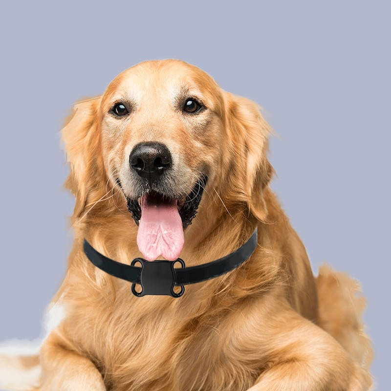 Smart Pet Locator Material ABS Bluetooth
