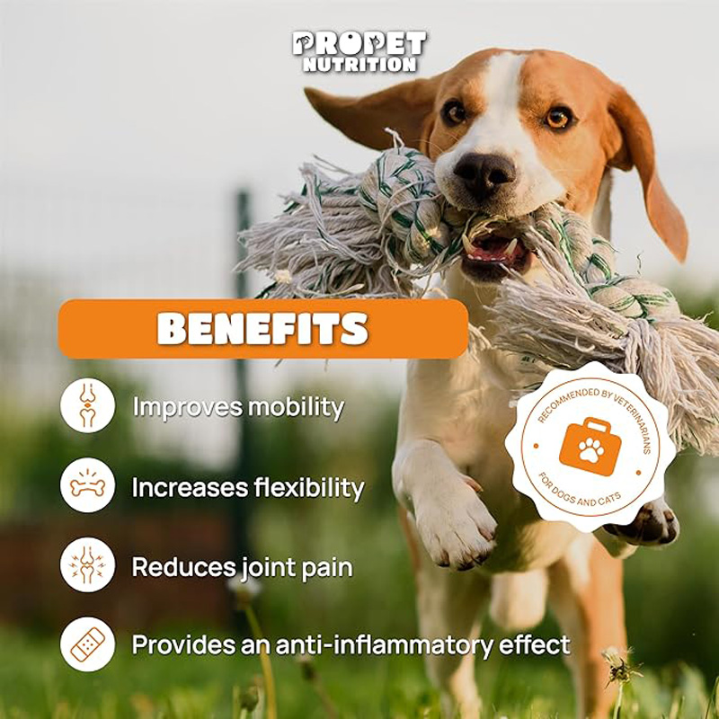 Joint Supplements For Dogs And Cats With Glucosamine, Chondroitin, 10 Vitamins, Hyaluronic Acid And MSM