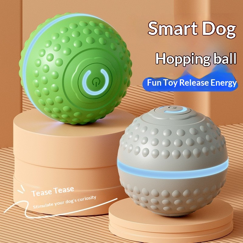 Pet Smart Rolling Ball Dog Toy